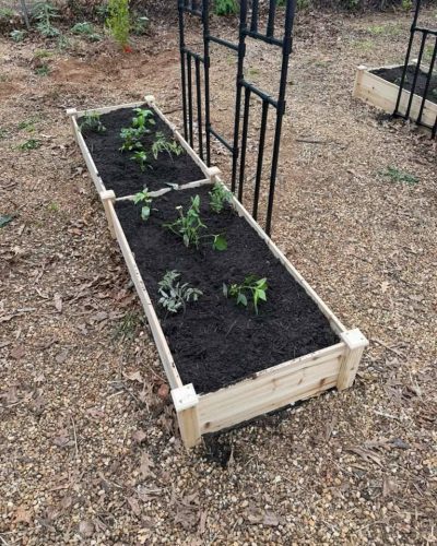 Jardin Comunitario