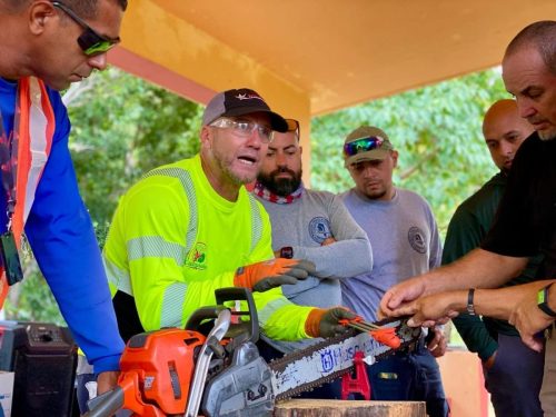Equipos municipales aprendieron sobre poda, seguridad y mantenimiento de árboles