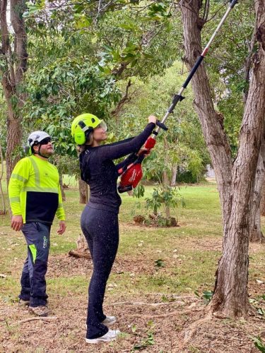 Fortaleciendo sus destrezas y el compromiso con un Puerto Rico sostenible