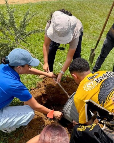 Arbor Day