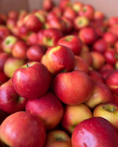 Apple-caf