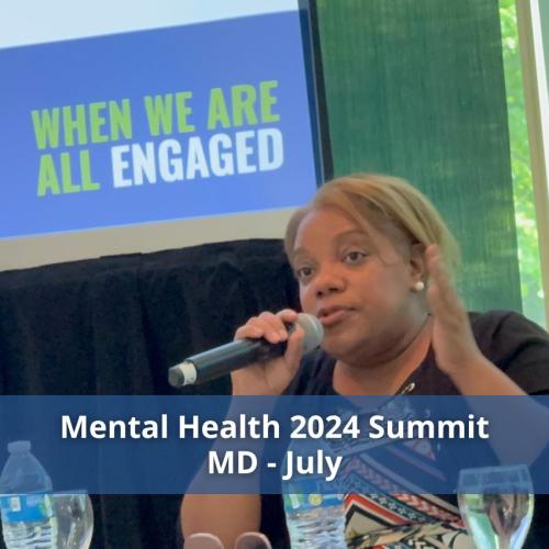 Mental Health 2024 Summit