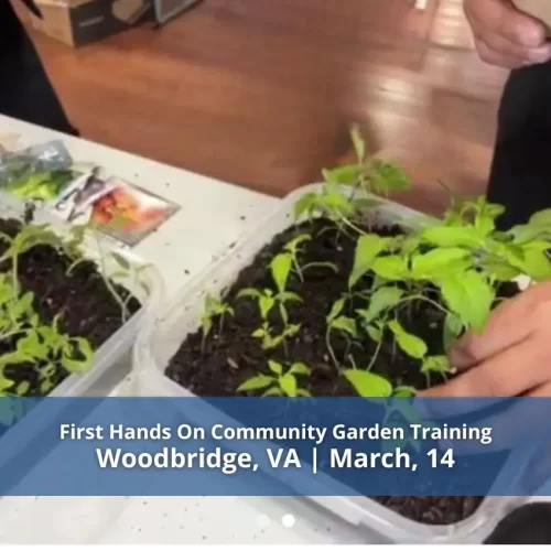 First Hands On Community Garden Training