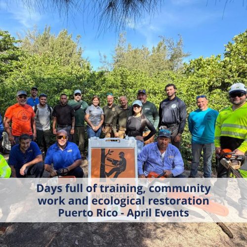 Days full of training, community work and ecological restoration