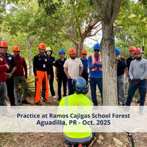 Practice at Ramos Cajigas School Forest