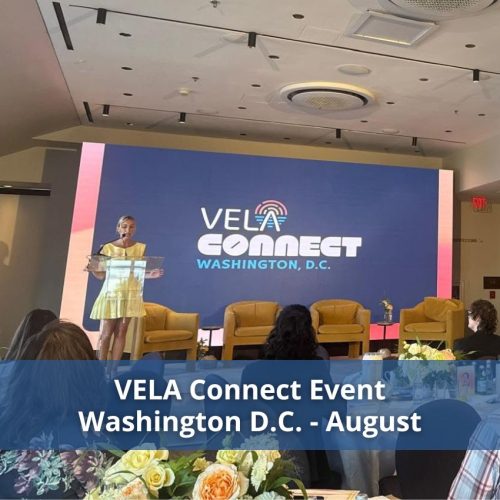VELA Connect Event