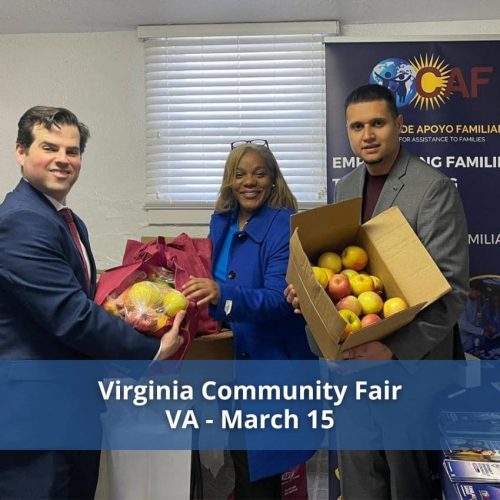 Virginia Community Fair